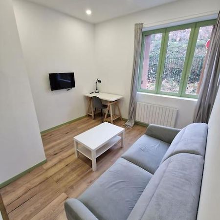 T1 Bis 1 Chambre Saint-Etienne  Dış mekan fotoğraf