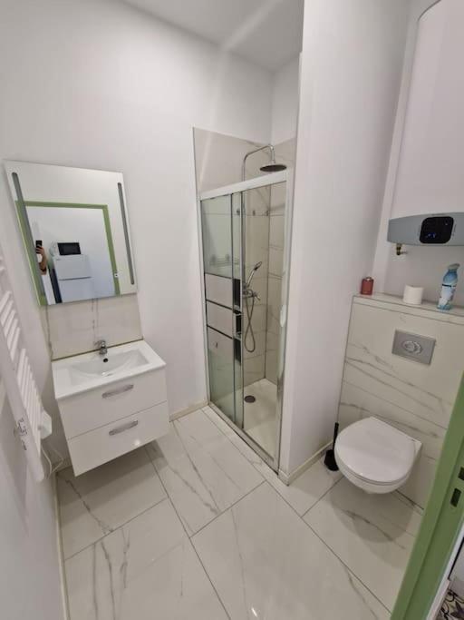 T1 Bis 1 Chambre Saint-Etienne  Dış mekan fotoğraf