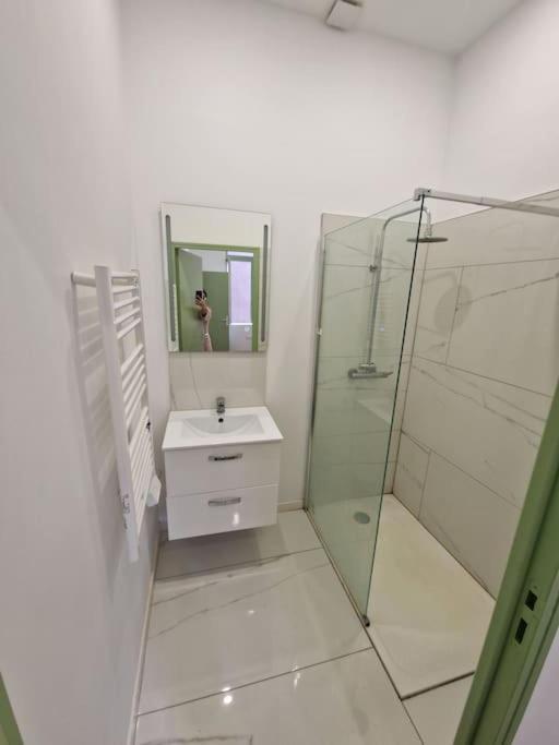 T1 Bis 1 Chambre Saint-Etienne  Dış mekan fotoğraf